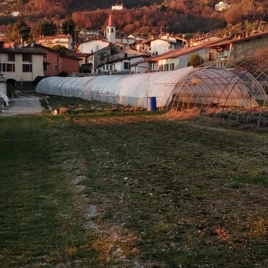 Agriturismo Corte Fontana App. Barbara Saló Exterior foto